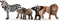 schleich WILD LIFE Starterset -