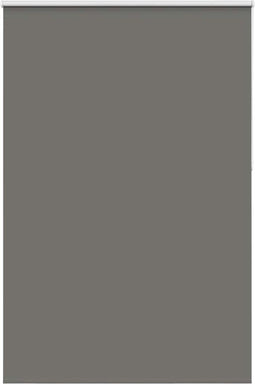 vidaXL - Rolgordijn - verduisterend - 155x210 - cm - stofbreedte - 151,6 - cm - grijs