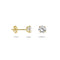 Marie Celeste - Oorknoppen - Zirkonia 5 mm - Goud