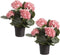 Roze hortensia kunstplant in zwarte kunststof pot 44 cm - Hydrangea - Woondecoratie
