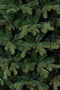 Triumph Tree Sherwood - Kunst Kerstboom 185 cm - Slank en onderhoudsarm - Groen