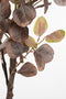 Mica Decorations Eucalyptus - Kunstplant - H180 x Ø80 cm - Brons