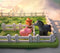 SmartGames - Smart Farmer - 60 uitdagingen - Denkspel vanaf 5 jaar met boerderijdieren