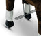 My Pony by Rollzone Rijpaard - Zithoogte 65 cm