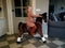My Pony by Rollzone Rijpaard - Zithoogte 65 cm