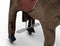 MY PONY, rijdend speelgoed paard van ROLLZONE ®, 3 - 6 jaar (MP2008-S) | Kinder Hobbelpaard