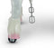MY PONY, rijdend speelgoed unicorn van ROLLZONE ®, 3 - 6 jaar (MP2002-S)