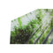 Schilderij Home ESPRIT Groen Bedrukt 150 x 0,4 x 100 cm
