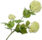 Silk-ka Kunstbloem-Zijden Bloem Sneeuwbal Tak Groen 61 cm Voordeelaanbod Per 2 Stuks