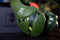 Mythics - gaming headset Green Camo Nemesis - inklapbare microfoon - in-line afstandsbediening - superieur geluidskwaliteit (PS4/PS5)