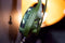 Mythics - gaming headset Green Camo Nemesis - inklapbare microfoon - in-line afstandsbediening - superieur geluidskwaliteit (PS4/PS5)