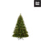 Black Box Bolton kunstkerstboom led 80 warmwitte - 120x92 groen