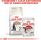 Royal Canin Ageing Sterilised 12+ - Kattenvoer - 400 g