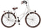 Avalon Cargo Transport - Fiets - Vrouwen - Wit - 55 cm