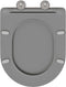 vidaXL - Snelle - Afneembare - WC-bril - met - Vertraagde - Duroplast - Grijs