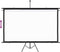 vidaXL - Projectiescherm - met - statief - 16:9 - 100''