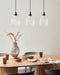COOSA - Hanglamp - Transparant - 3 lichten - Glas/Metaal