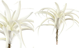 PTMD Tillandsia Blad Kunsttak - 30 x 30 x 29 cm - Wit