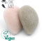 Owl & Bee® Konjac gezichtssponzen - Voor vette huid - Met Franse groene klei en aloe vera - 2 stuks - Vegan gecertifieerd