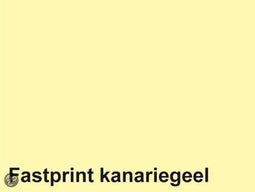 FastPrint A3 - Kopieerpapier 120gr - 250 vel - Kanariegeel