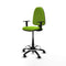 Piqueras y Crespo B1D01RN - Bureaustoel - Hoogteverstelbaar met armleuning - Pistache