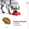 Royal Canin Maxi Adult - Hondenvoer - 15 kg - Ondersteunt spijsvertering en gewrichten