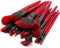 Professional Cosmetic Brush collection 24 st - sensual red