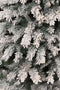 Black Box Trees - Chandler kerstboom frosted, groen - h260xd147cm