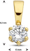 Marie Celeste hanger - Fantasiehanger - 14 karaat goud - Zirkonia