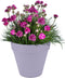 Elho Loft Urban Rond 20 - Bloempot voor Buiten - Ø 19.3 x H 17.5 cm - Lavendel lila