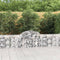 vidaXL - Schanskorven - 4 - st - gewelfd - 200x30x60/80 - cm - gegalvaniseerd - ijzer