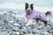 Hurtta Hondenjas - Drizzle Coat -Currant Paars - 20cm