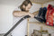 Karcher WD 3 S V-15/4/20 - Nat- en droogstofzuiger - 15 liter roestvrijstalen container - 1000 W