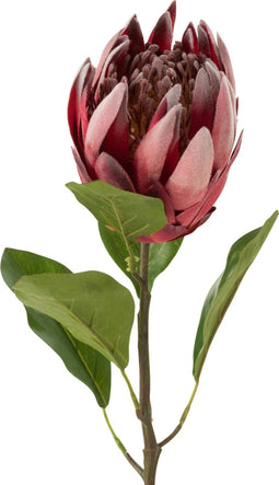 J-Line decoratie tak Protea - kunststof - donkerrood - 6 stuks