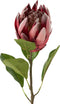 J-Line decoratie tak Protea - kunststof - donkerrood - 6 stuks