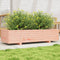 vidaXL - Plantenbak - 110x40x26,5 - cm - massief - douglashout