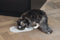 Designed by Lotte Oona - Placemat - Silicone - Vaatwasserbestendig - Beige - 45x25x1,5 cm
