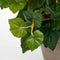 Zalmroze Begonia kunstplant met bloemen 37 cm in terracotta pot - Kunstplanten/nepplanten - Voor binnen