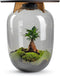 Terrarium | Eiken Tafel | Bonsai plant | Grijs glas | ↑55cm -Ø35cm