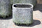 PTMD Zella grijze groene cement pot op voet ovaal maat in cm: 40x20x40