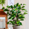 Mica Decorations groene ficus kunstplant - 40 cm - Kunstplanten voor binnen