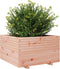 vidaXL - Plantenbak - 80x80x49,5 - cm - massief - douglashout