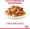 Royal canin wet digest sensitive (12X85 GR)