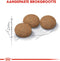 Royal Canin Ageing Sterilised 12+ - Kattenvoer - 4 kg