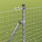 vidaXL - Tuinhekken - met - Spike - 7 - stuks - Ø32 - mm - 170 - cm - Gegalvaniseerd - Staal