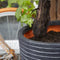 Capi Europe - Vaas elegant laag Row NL - 46x58 - Antraciet - Opening Ø38 - Bloempot voor binnen en buiten - Levenslang garantie - Breukbestendig - 100% Recyclebaar - CO2 Neutraal geproduceerd - KRWZ783