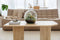 Growing Concepts Biodome terrarium - Biophytum plant 30cm / 30cm / Glas - Terrarium: Biodome, terrarium, biophytum