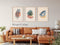 ® Fotolijst natuurlijk hout, eiken, dunne lijst, posterlijst, groot, vintage, collage, fotolijst, ho