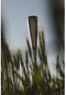 Zonnelamp - Solar epi - Hout en metaal - Wit