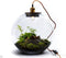 Growing Concepts DIY Duurzaam Ecosysteem Demeter lamp - H38xØ37cm